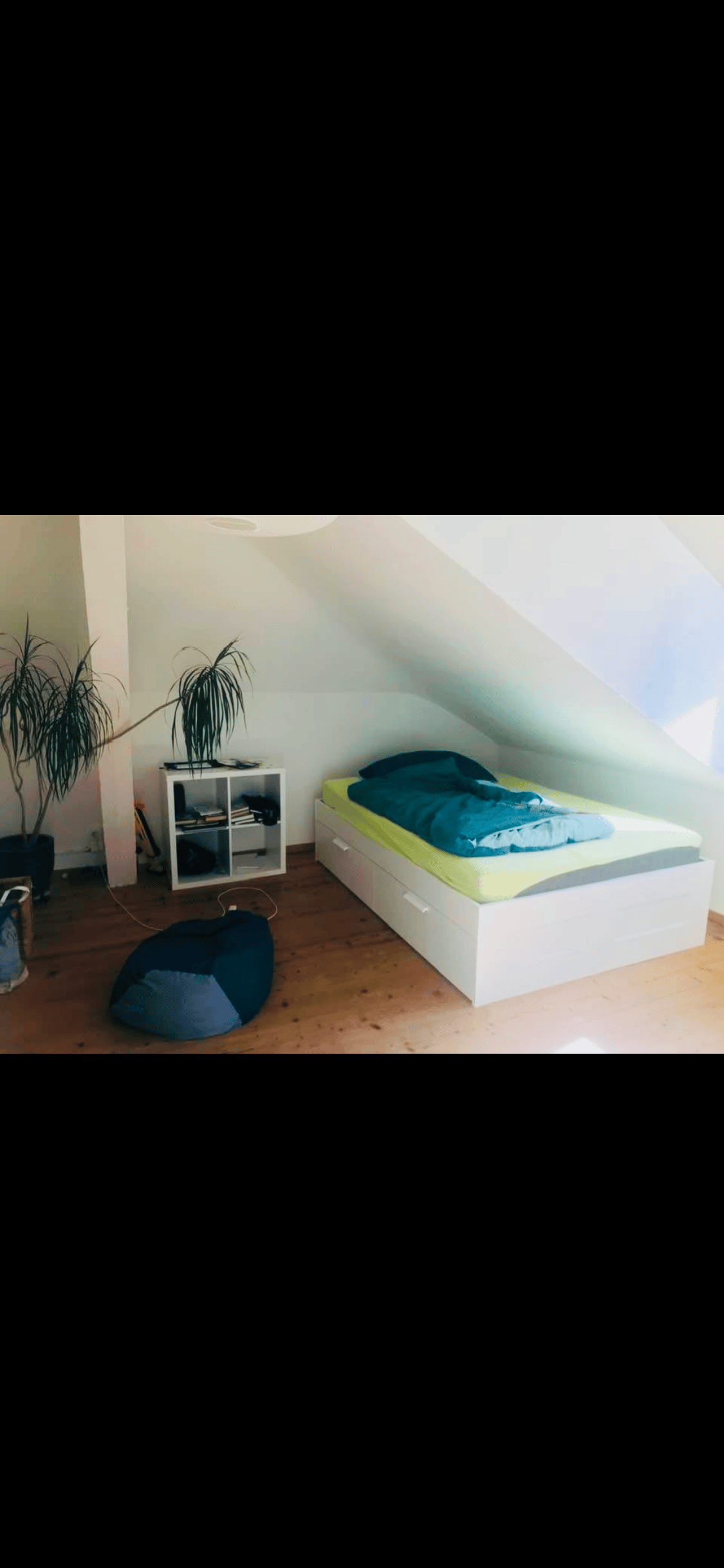 Room in a shared flat
