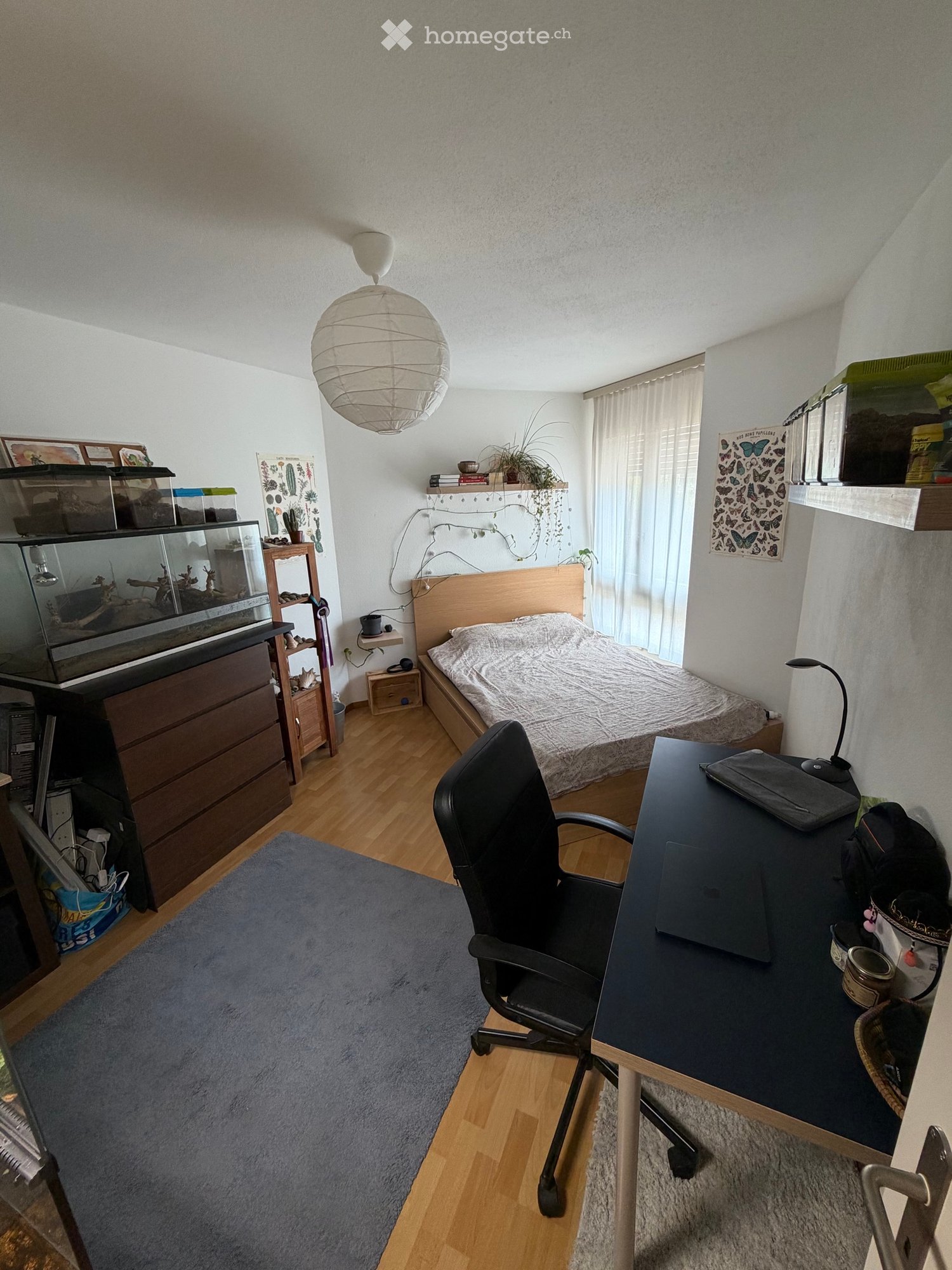 3 rooms apartment