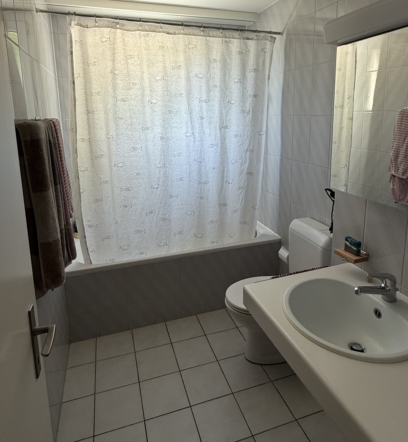 4 ½ rooms apartment