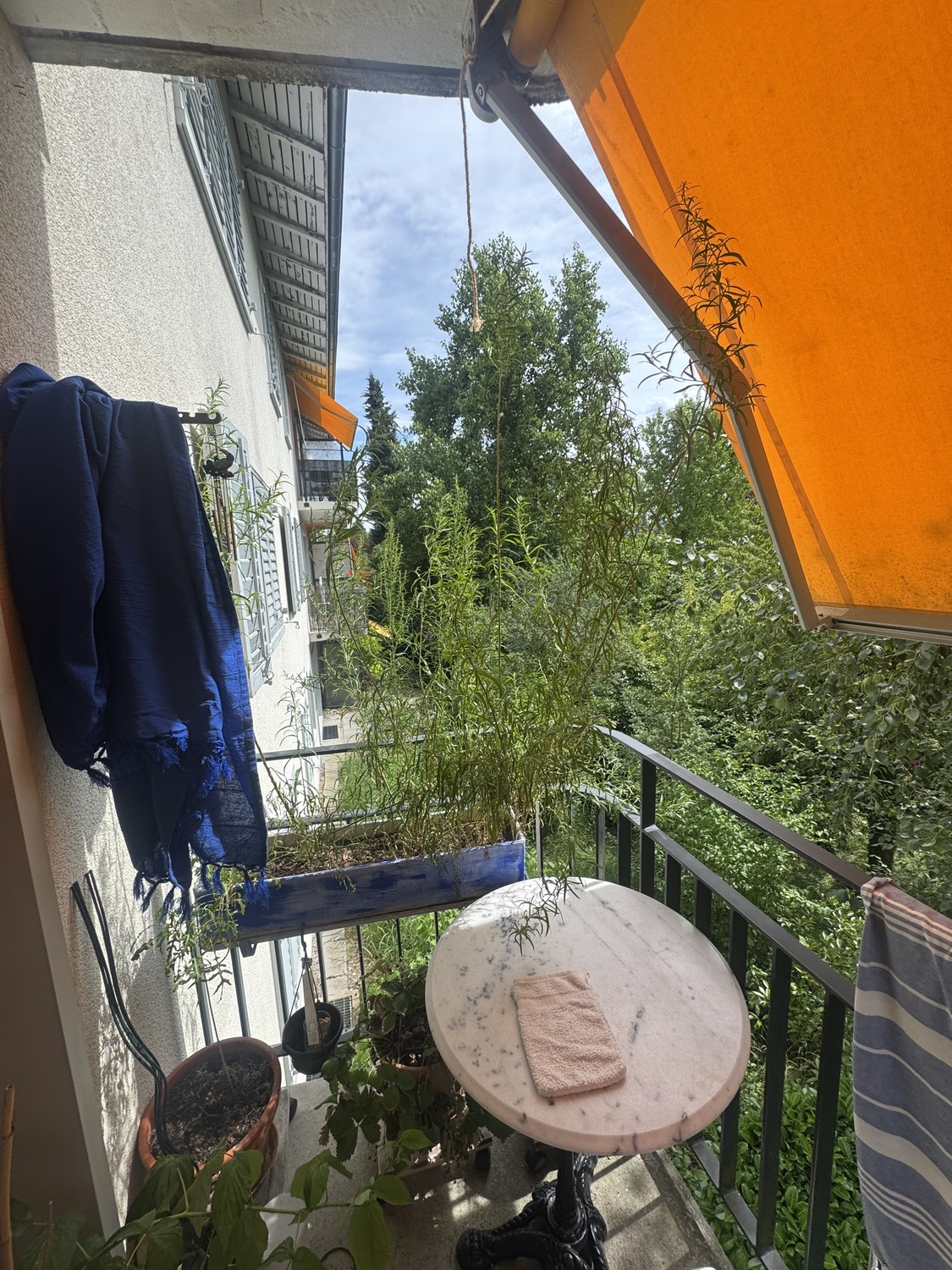 Appartement de 2 ½ pièces