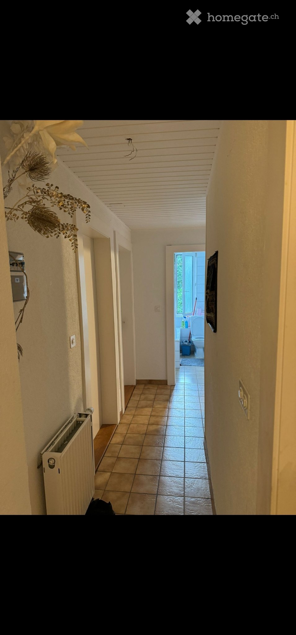 3 ½ Zimmer Wohnung