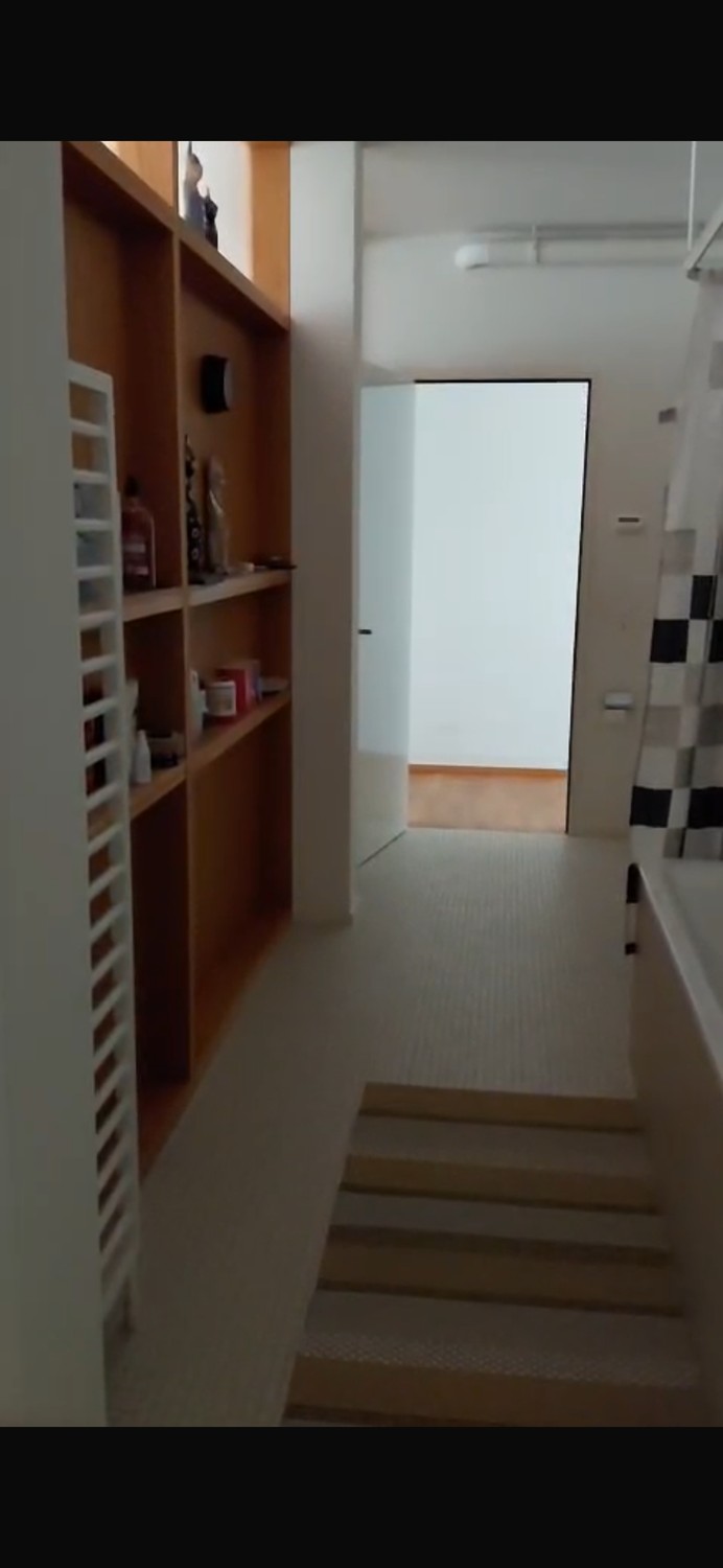 1 ou 2 pièces à louer. Salon/salle à manger/salle de bain à usage commun, ainsi que la grande terrasse commune