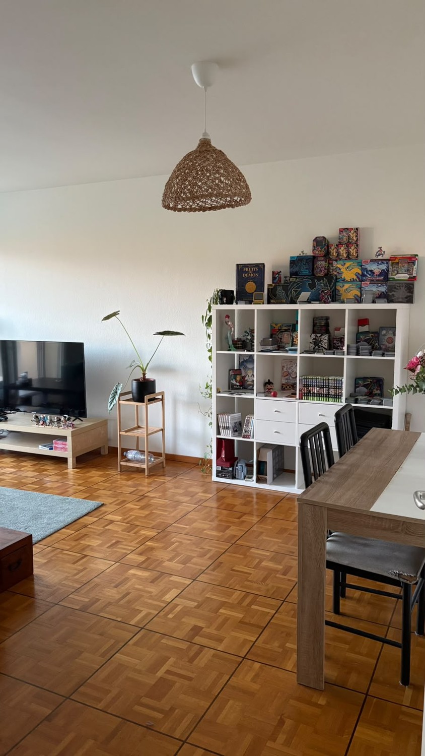 appartamento di 2 ½ locali