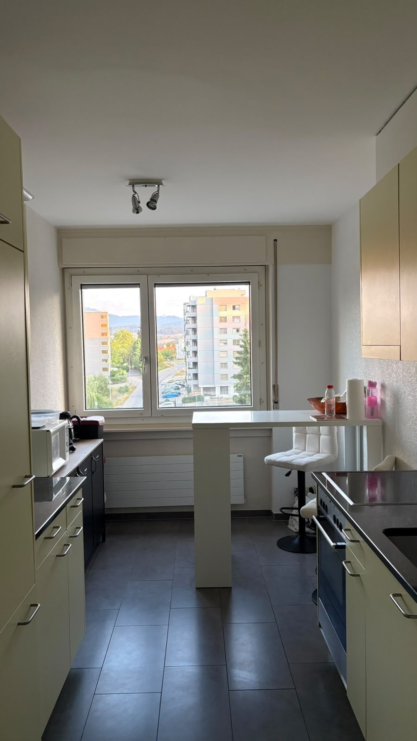 appartamento di 2 ½ locali