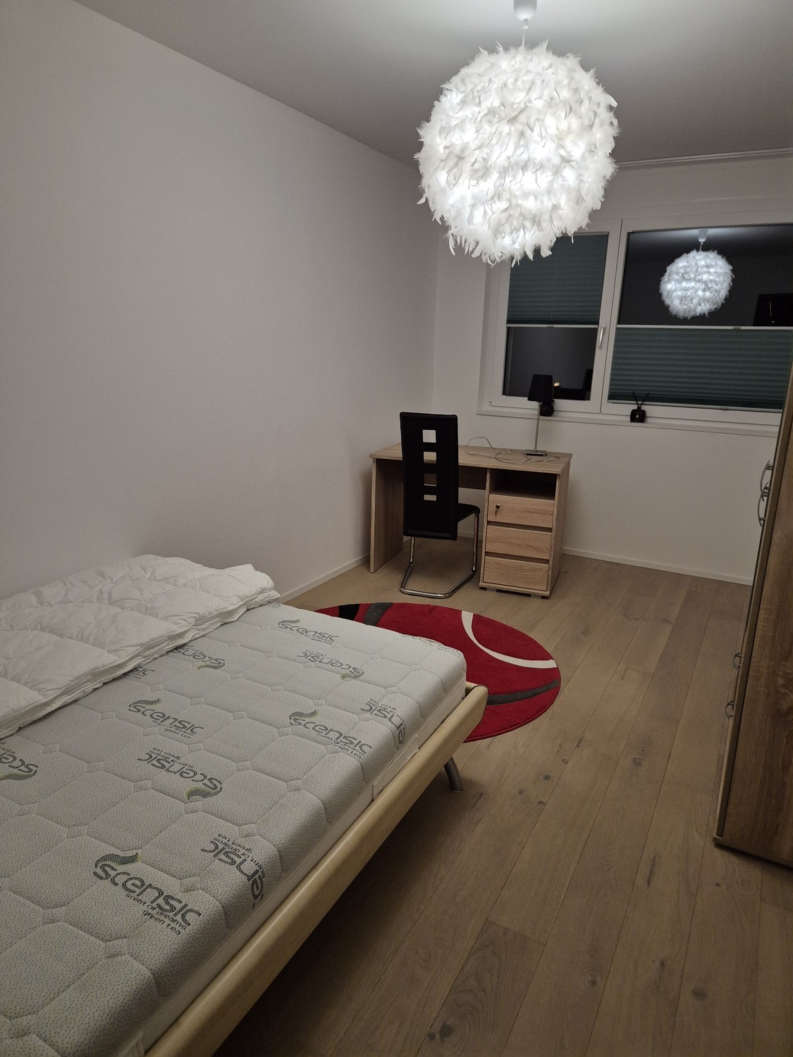 Room in a shared flat