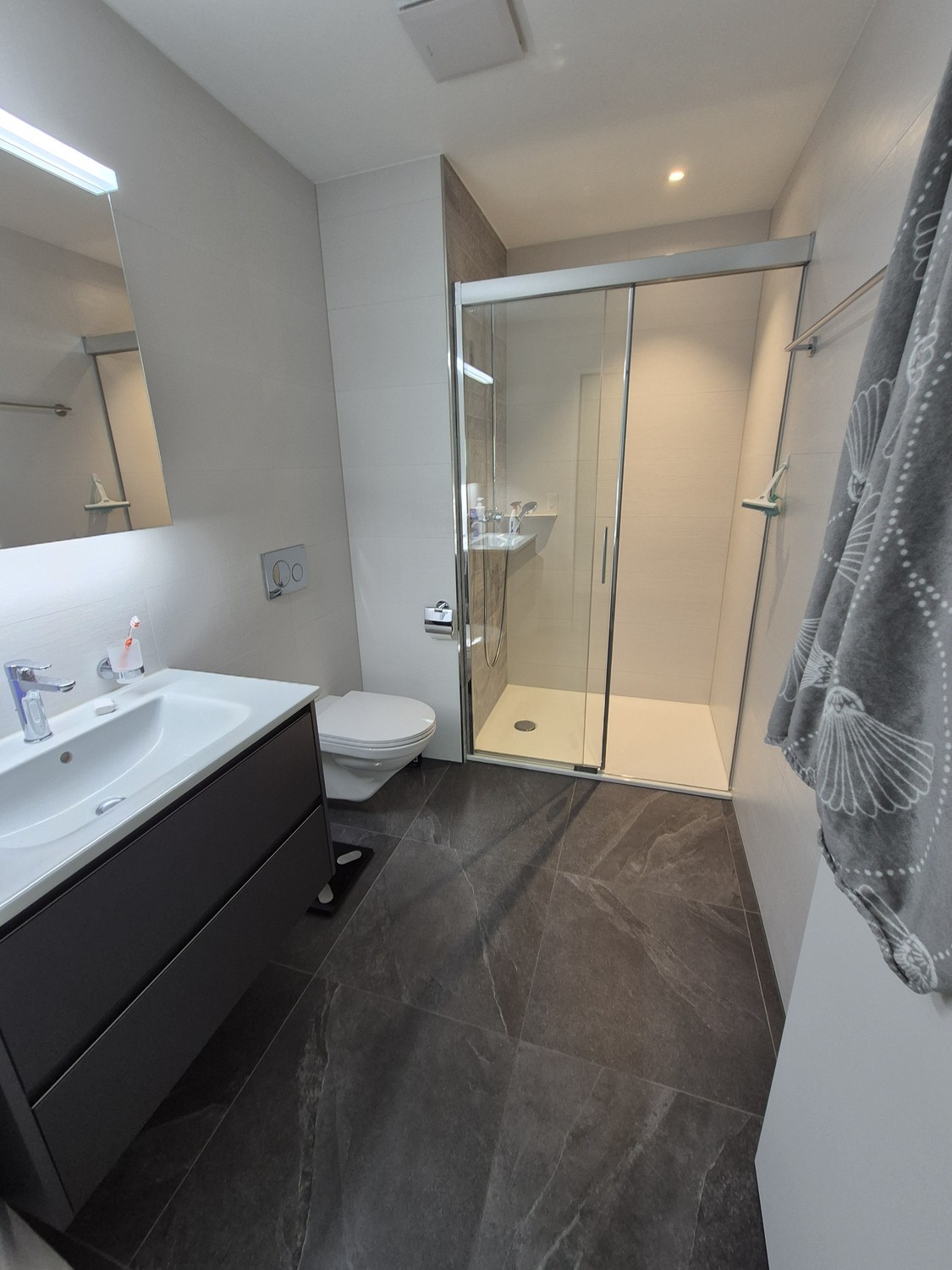 Room in a shared flat