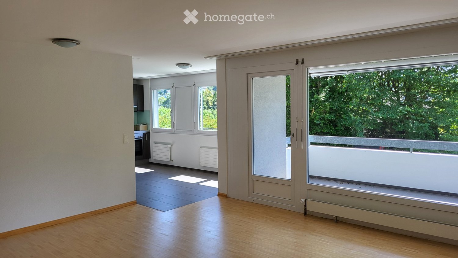4 ½ rooms apartment