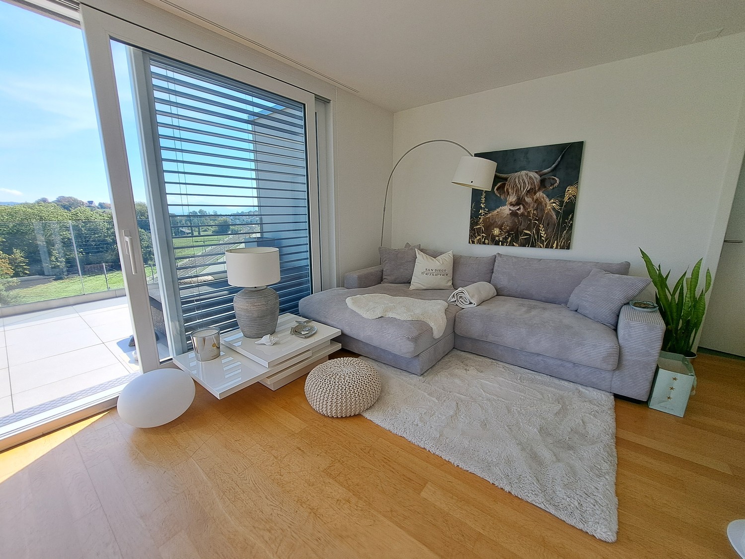 2 ½ rooms apartment