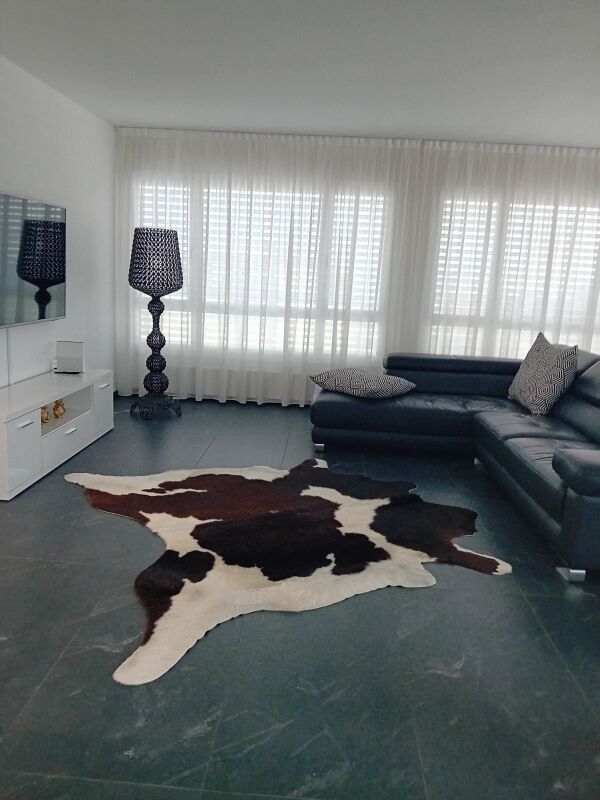5 ½ Zimmer-Wohnung
