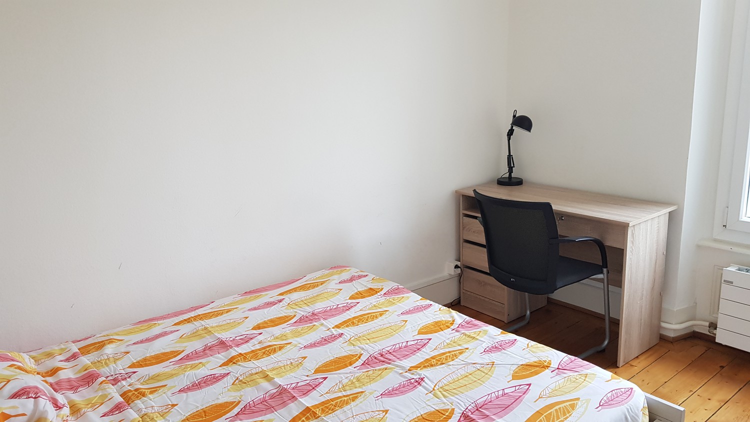 Room in a shared flat