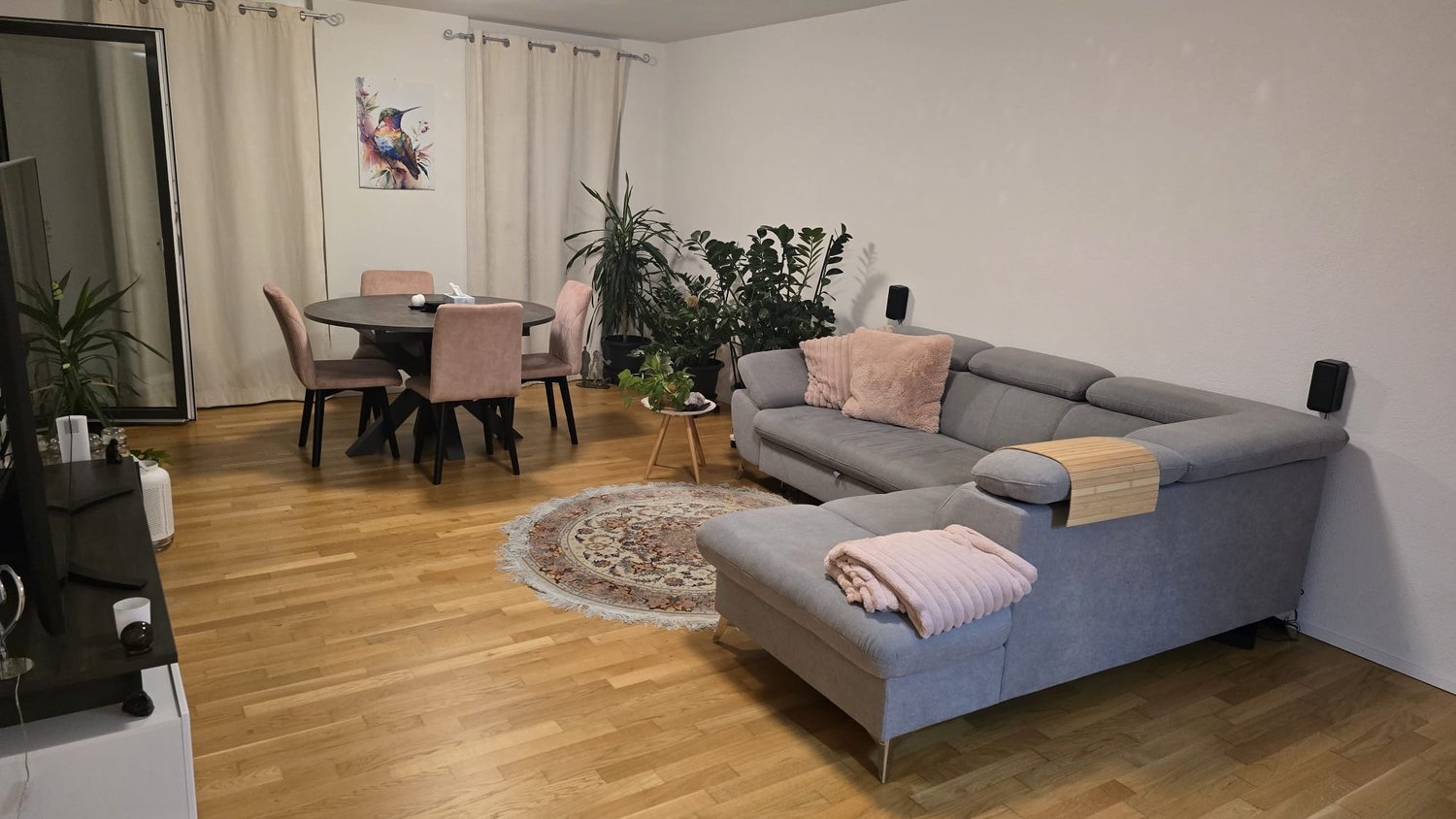 2 ½ rooms apartment