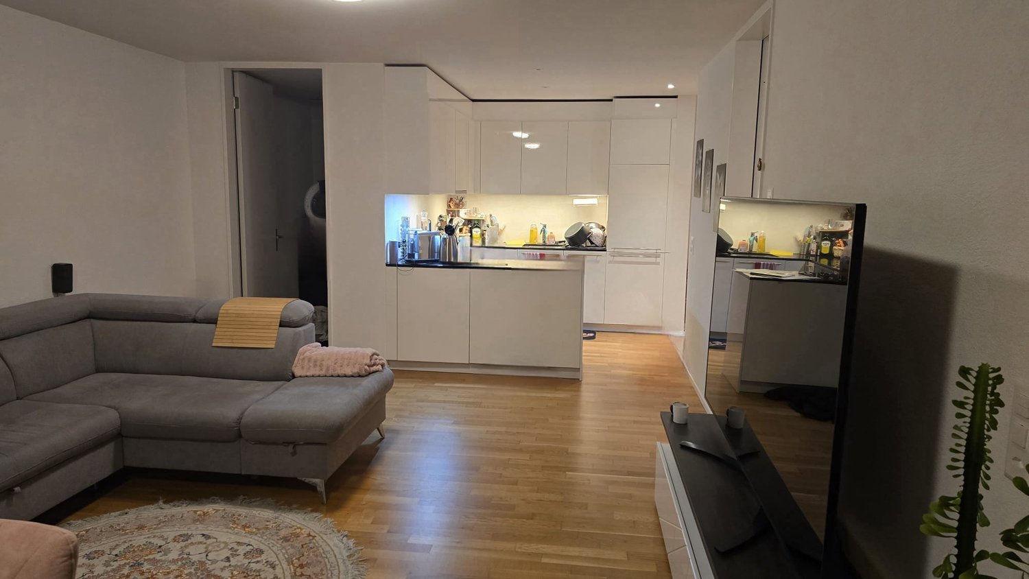 2 ½ rooms apartment