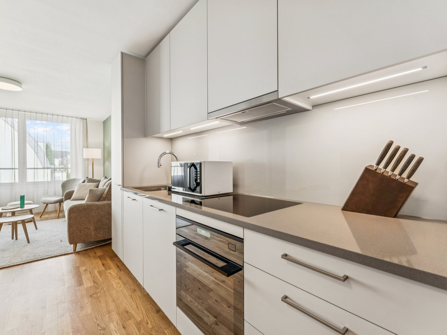 Appartement de 1 ½ pièce