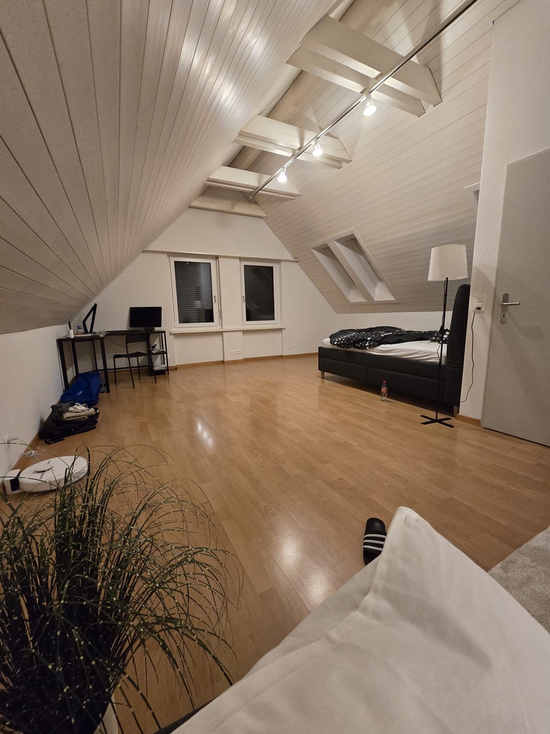 Chambre en colocation