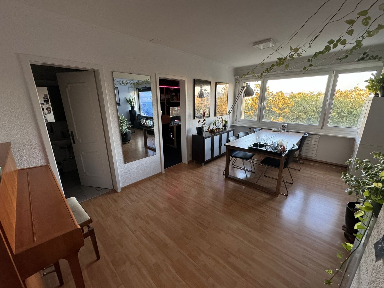 Room in a shared flat