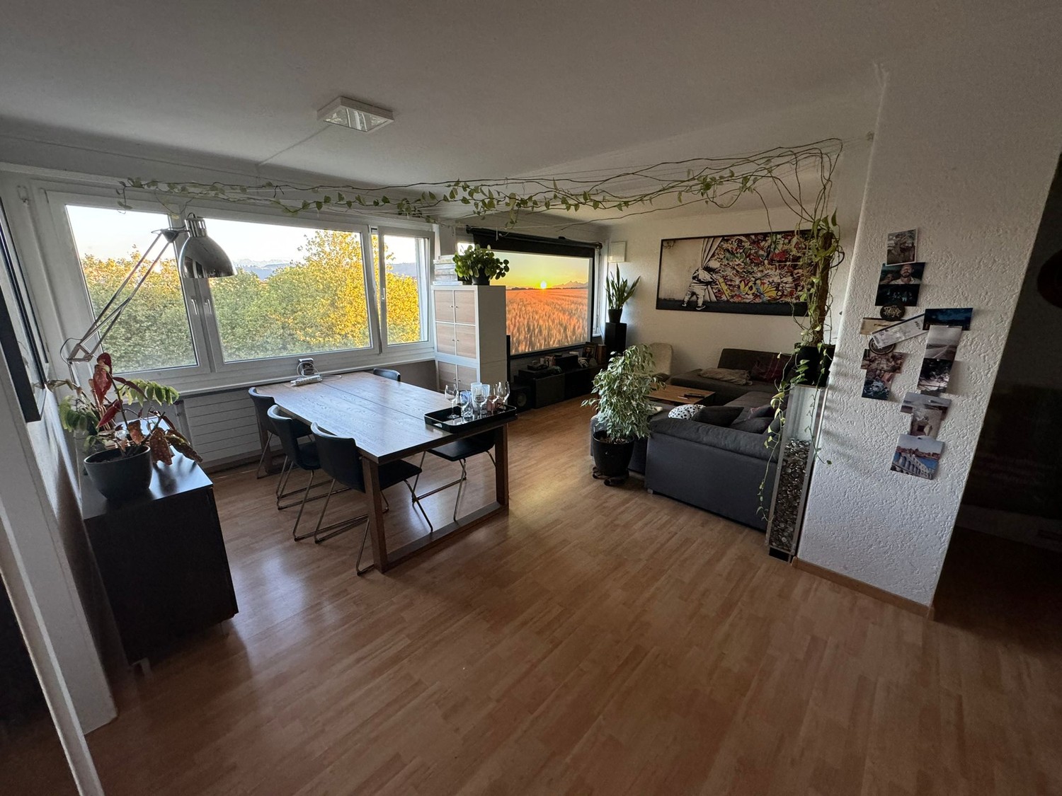 Room in a shared flat