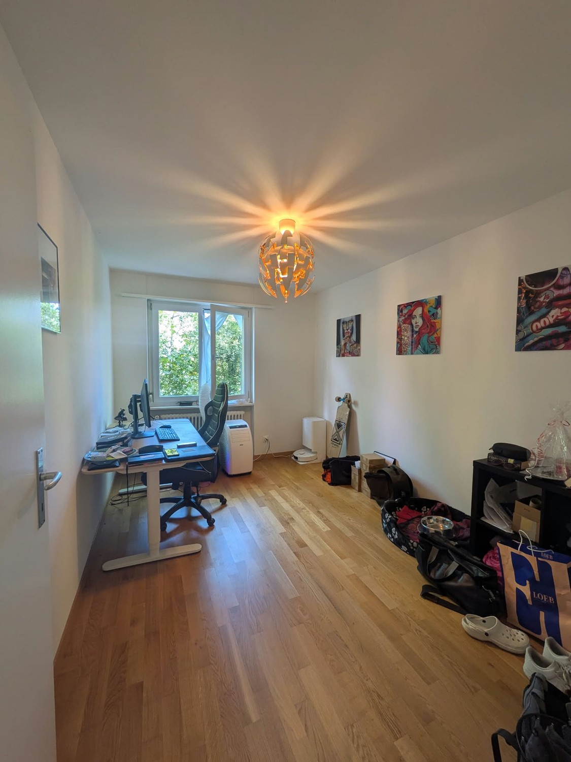 Appartement de 3 ½ pièces
