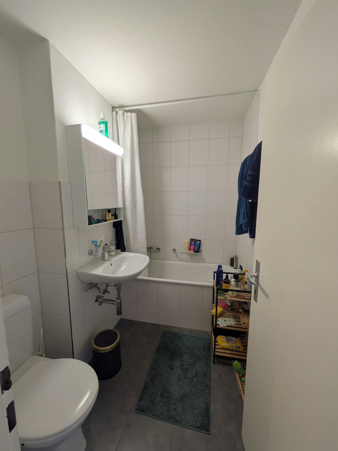 Appartement de 3 ½ pièces