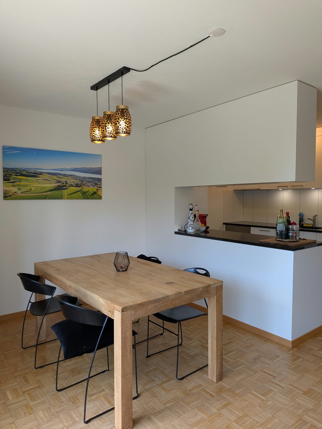 Appartement de 3 ½ pièces