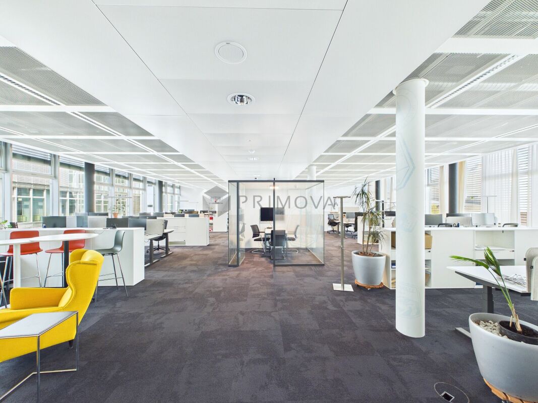 417m² ufficio