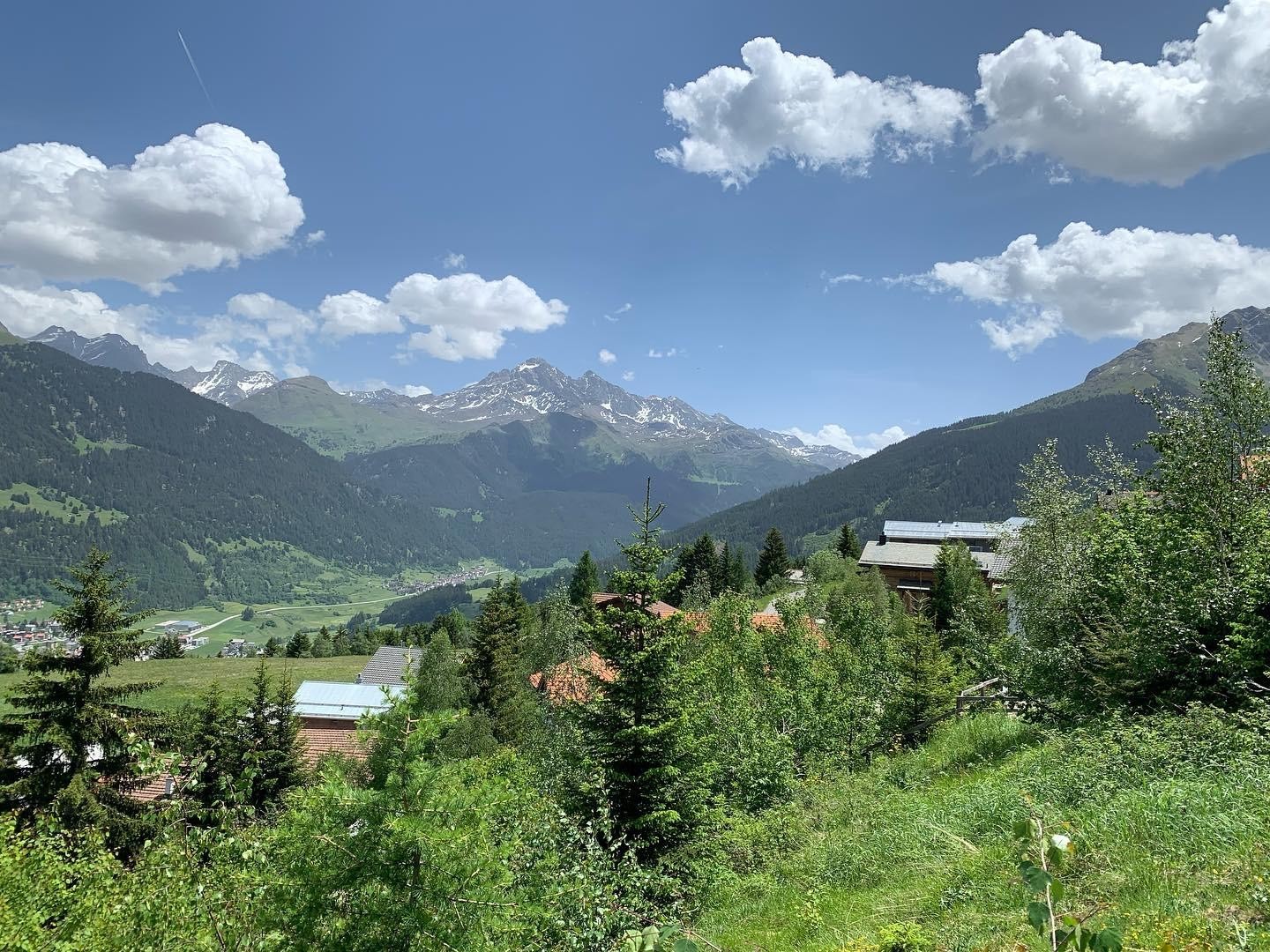 1000m² di terreno edificabile