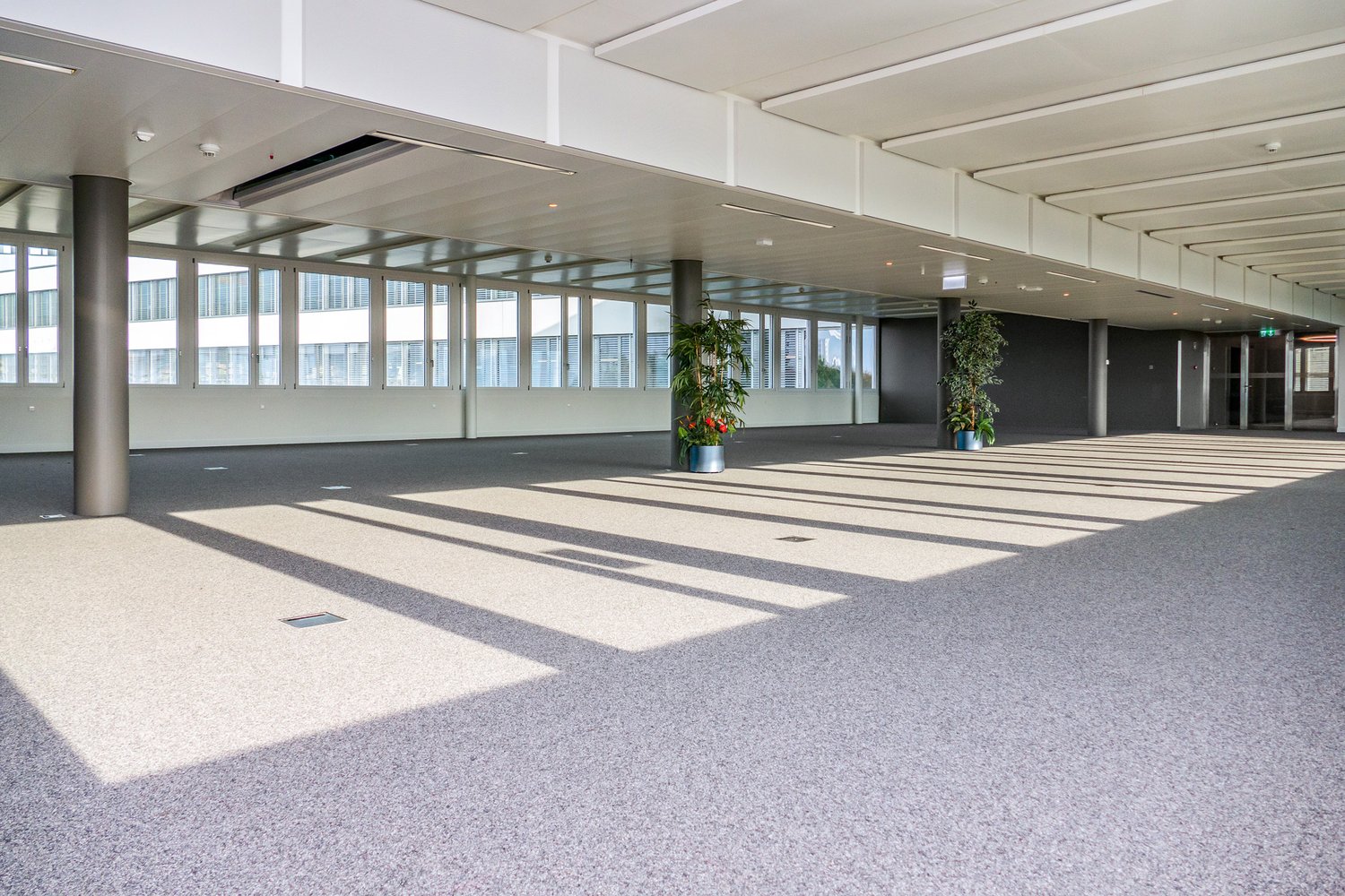 427m² Büro
