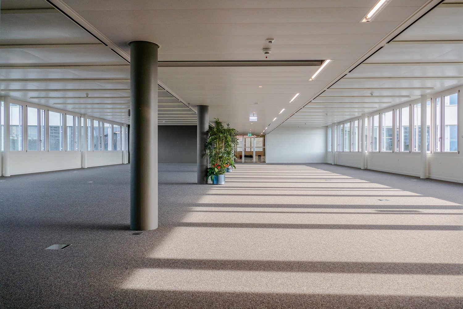 427m² Büro