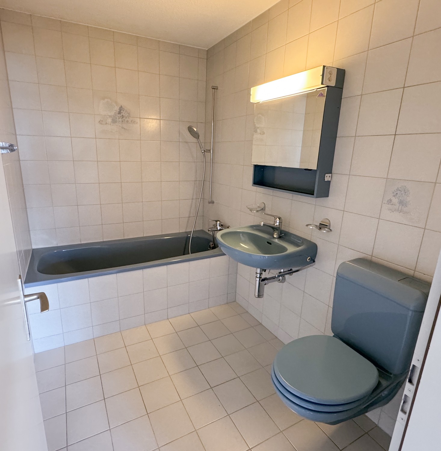 2 ½ rooms apartment