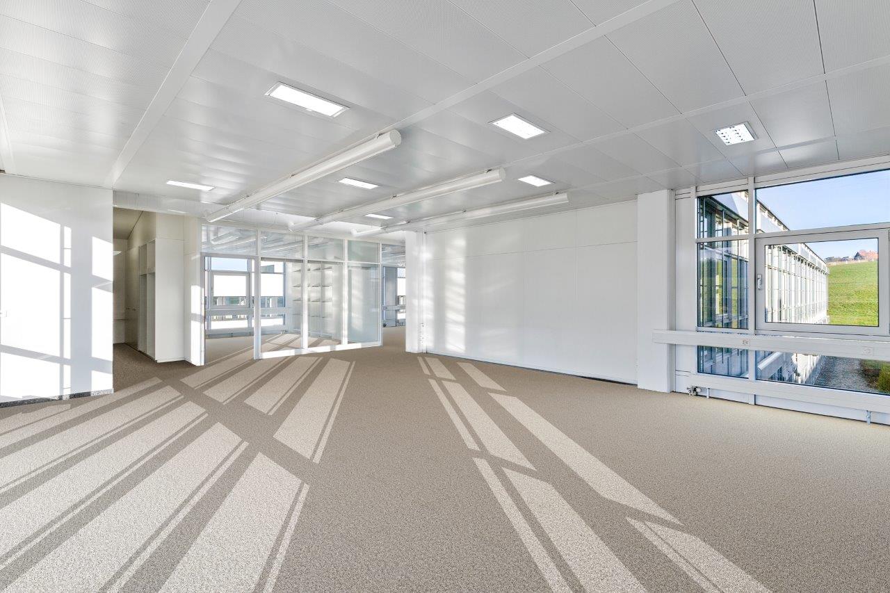 427m² office