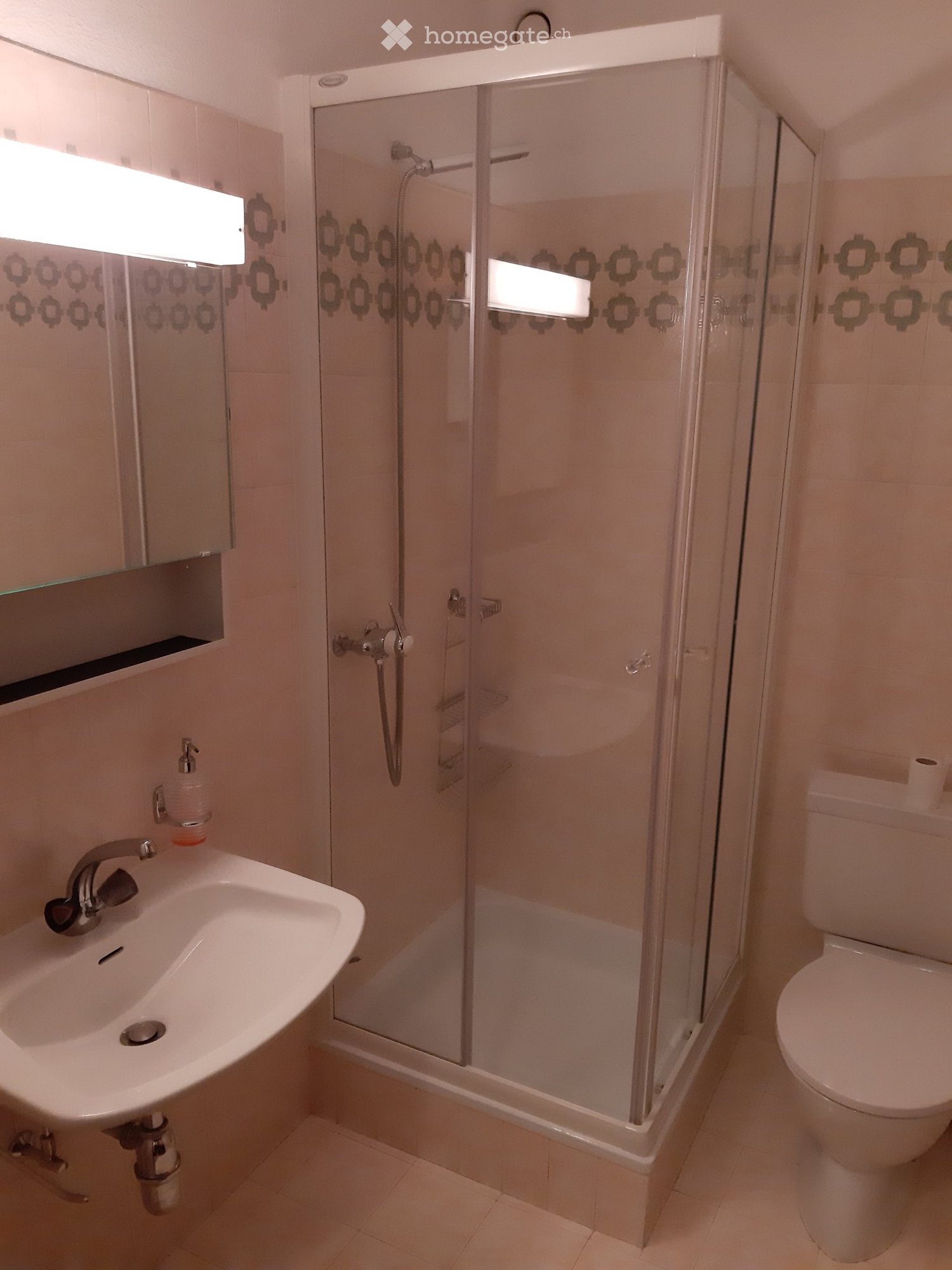 4 ½ rooms apartment