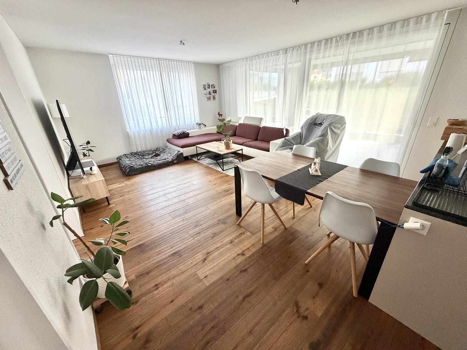 Room in a shared flat