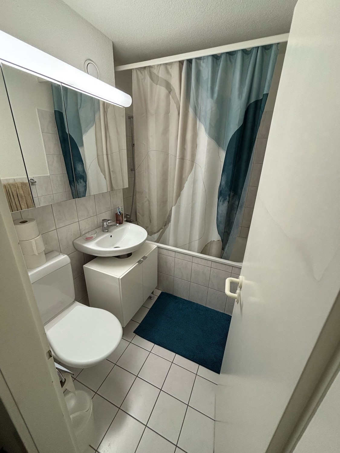 Appartement de 3 ½ pièces