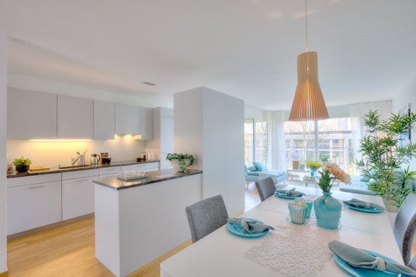 4 ½ rooms apartment