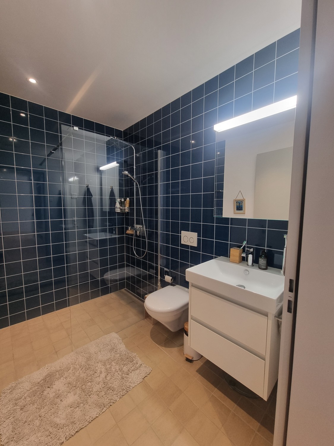 Appartement de 2 ½ pièces