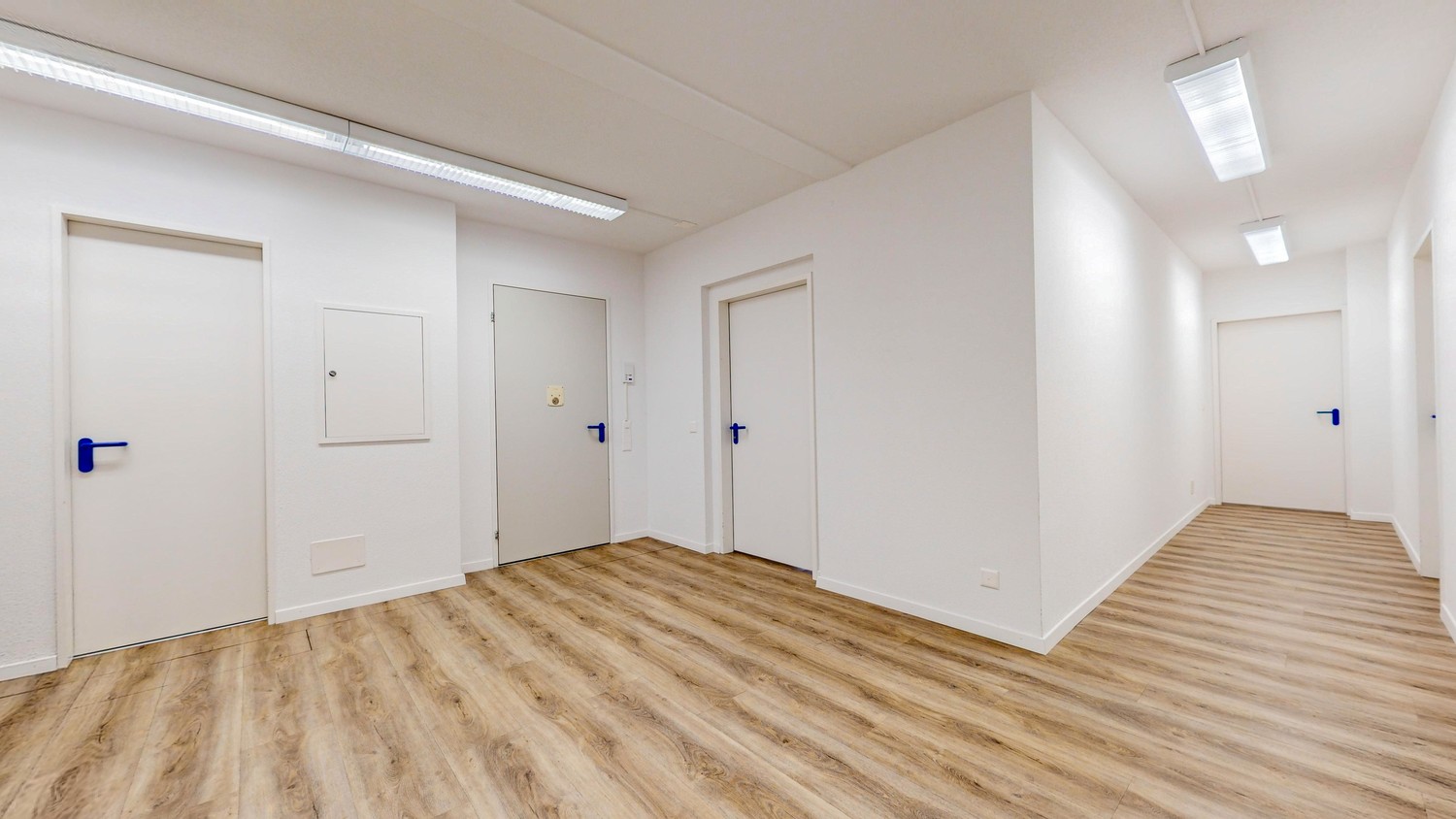 206m² commerciale