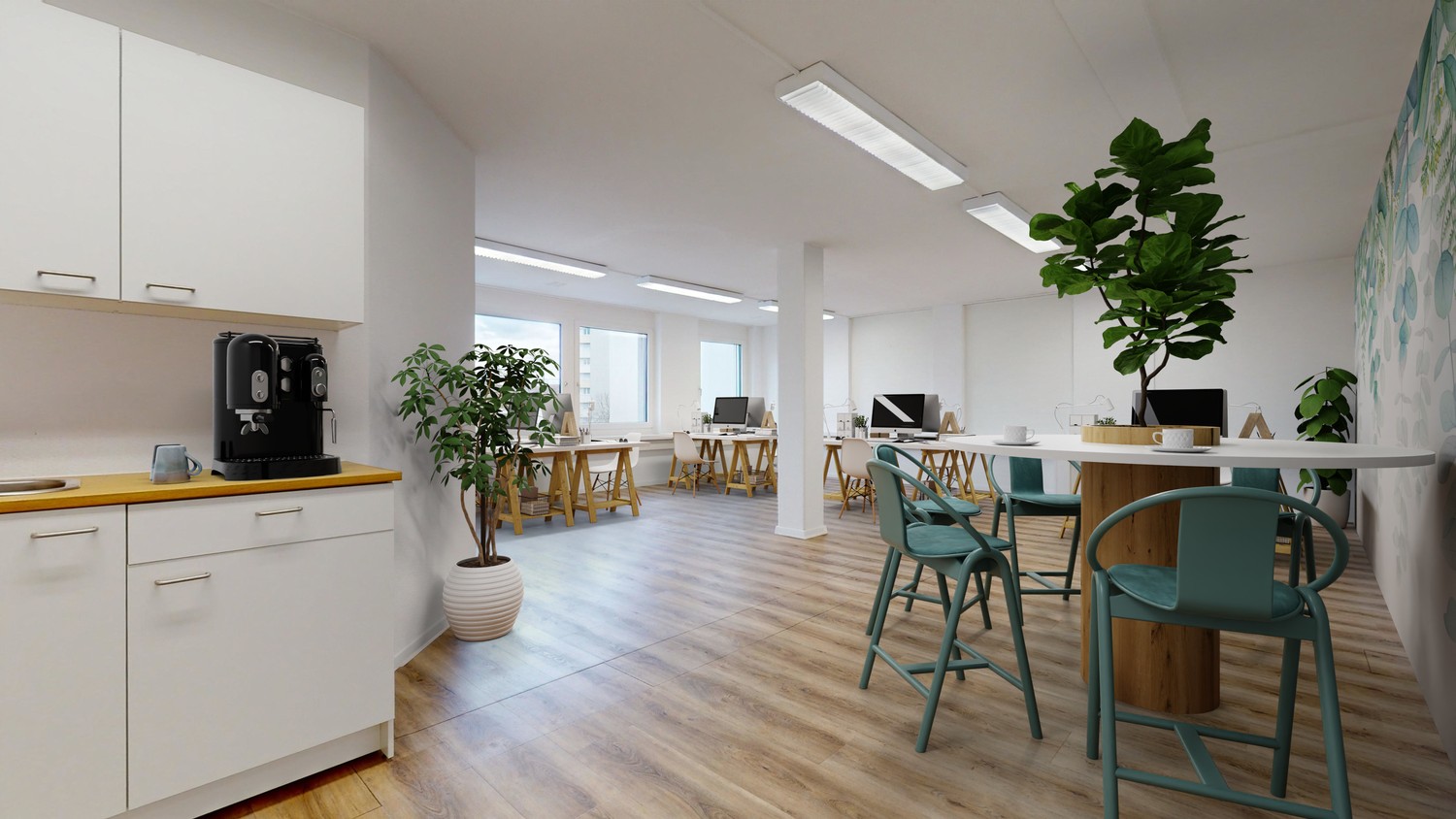 206m² commerciale