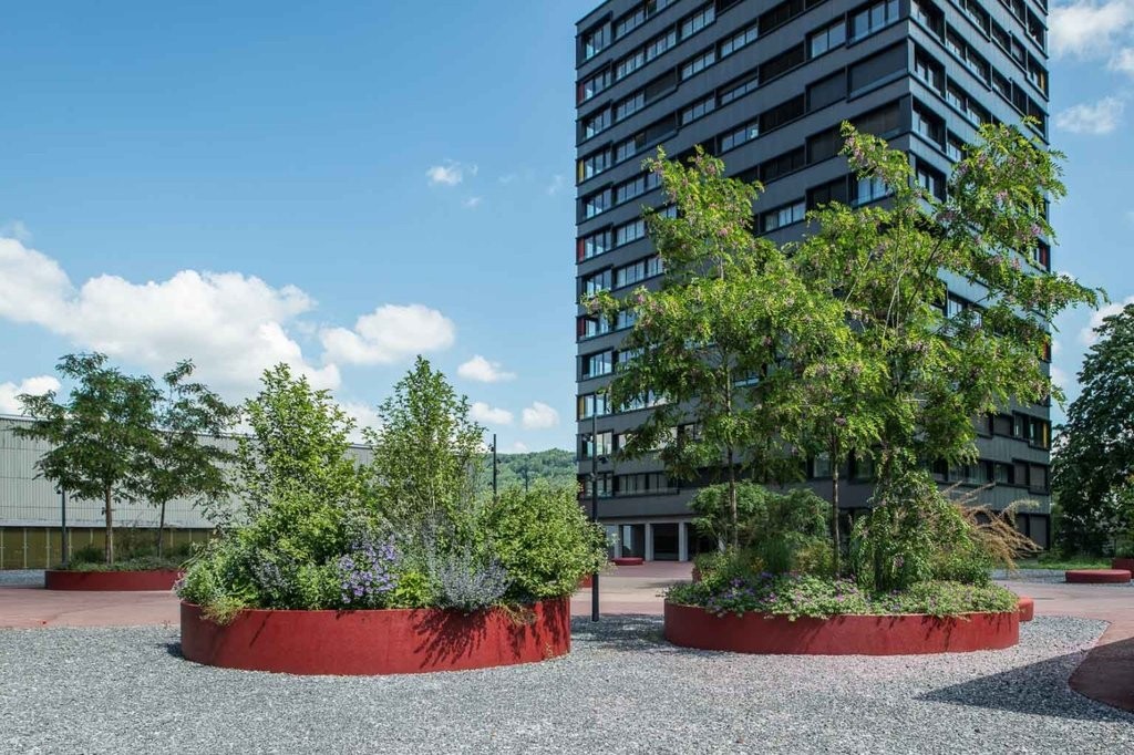 Appartement de 2 ½ pièces