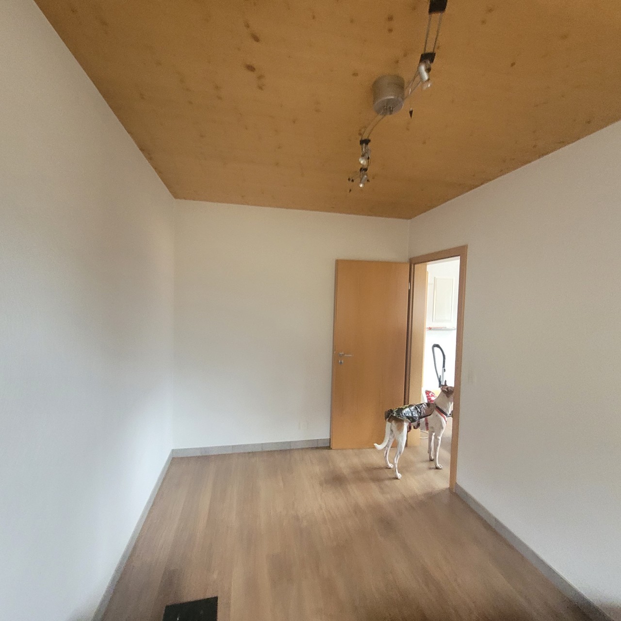 3 ½ rooms single house