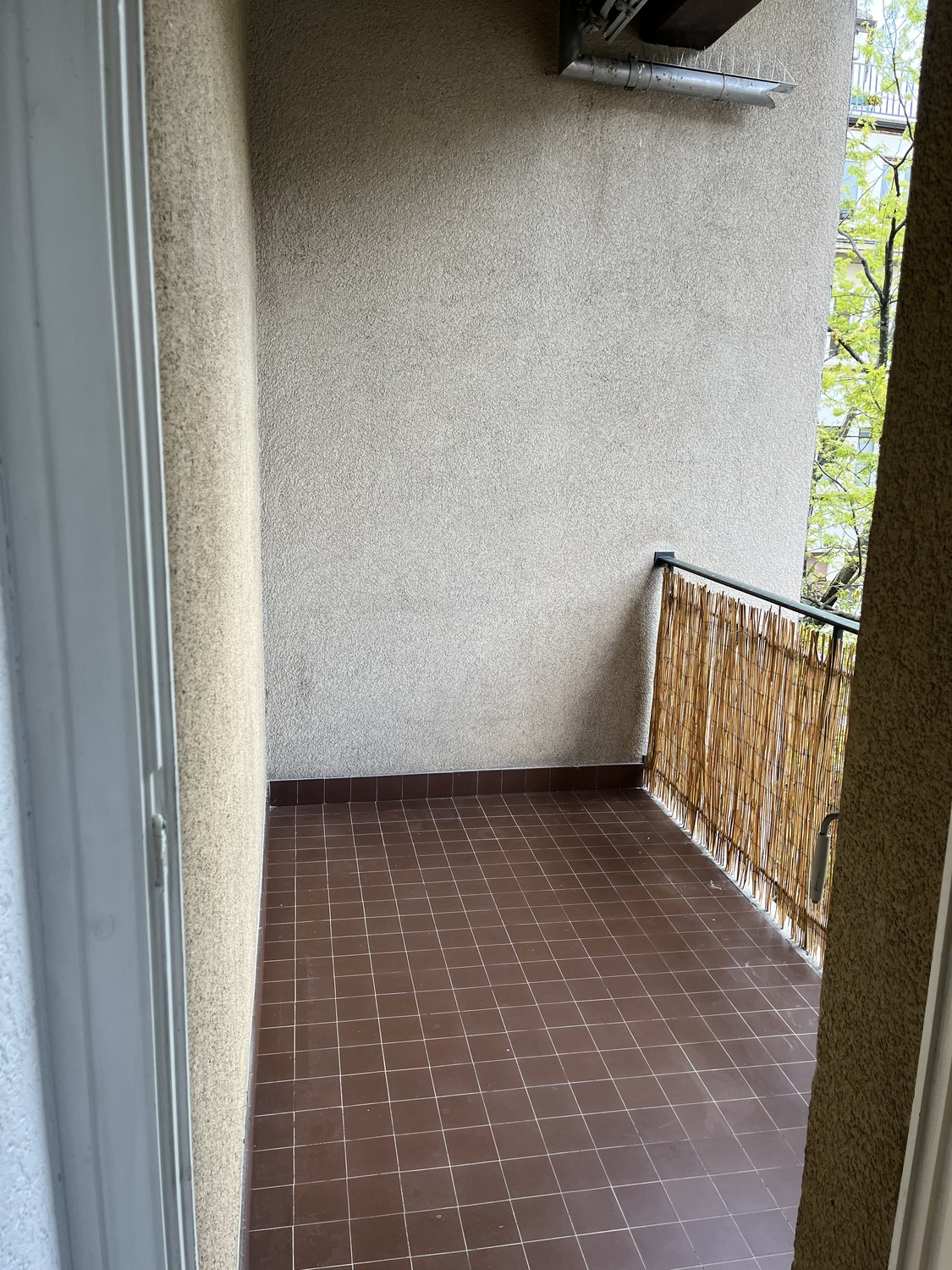 2 ½ Zimmer-Wohnung