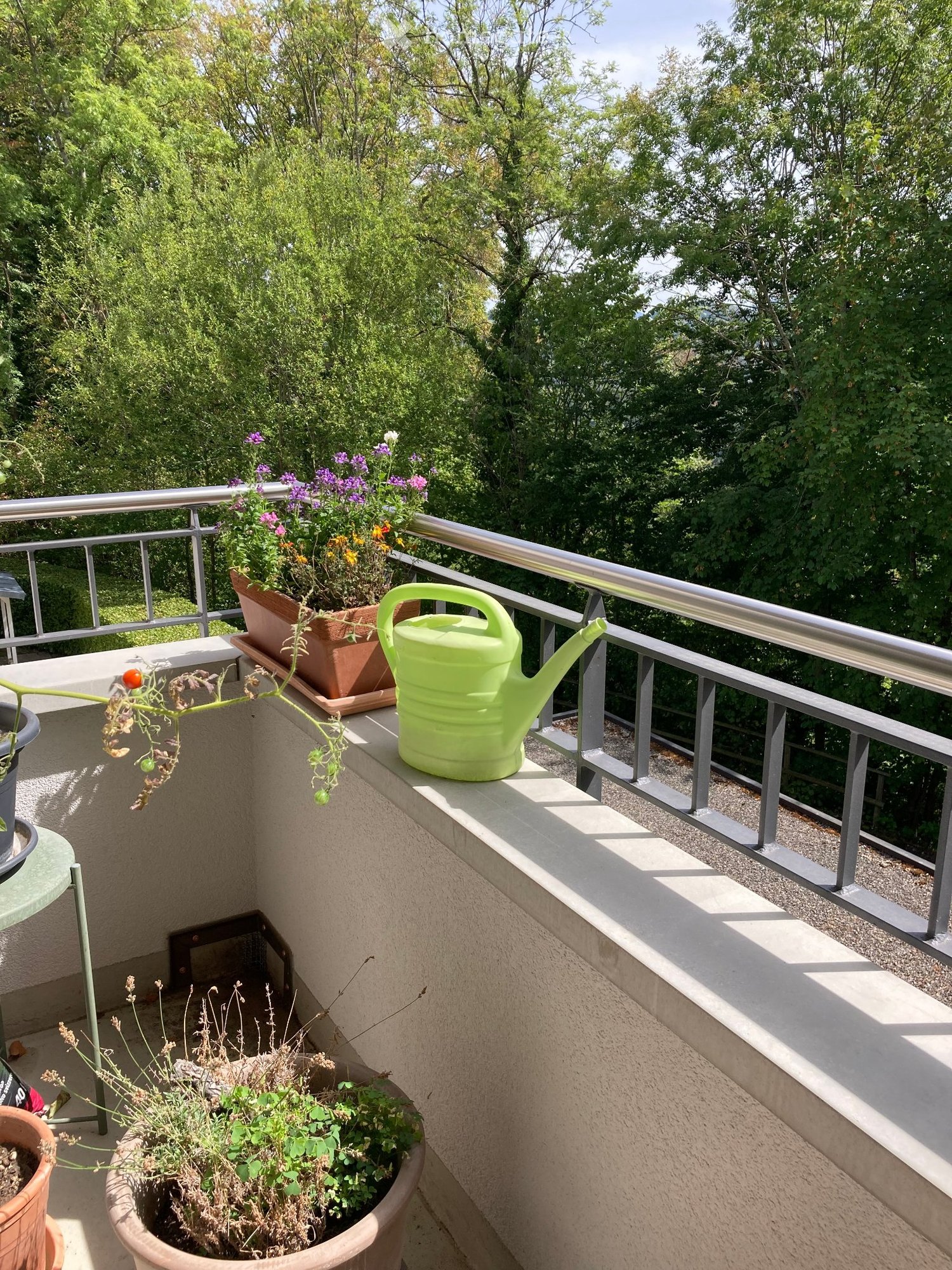 3 ½ Zimmer Wohnung