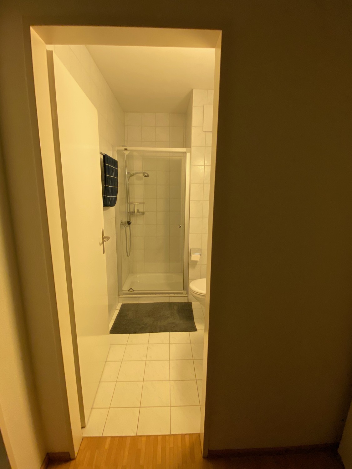 Room in a shared flat