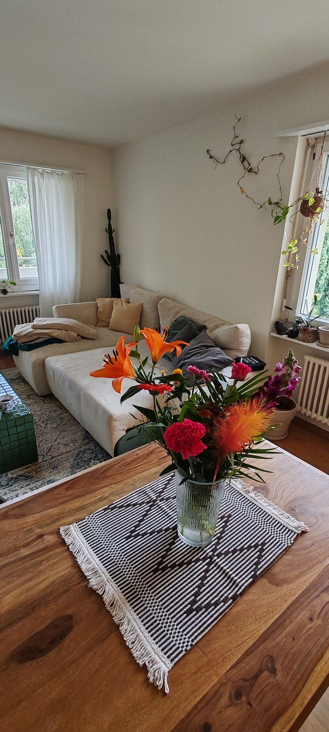 Room in a shared flat