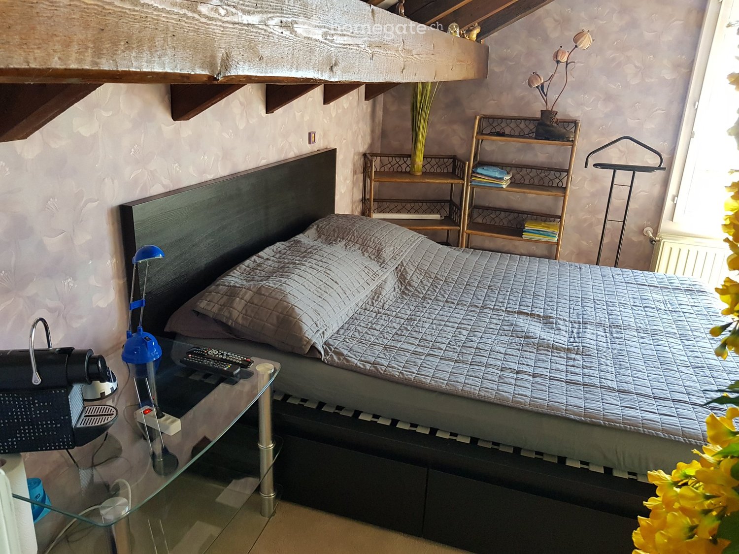 1 room single room