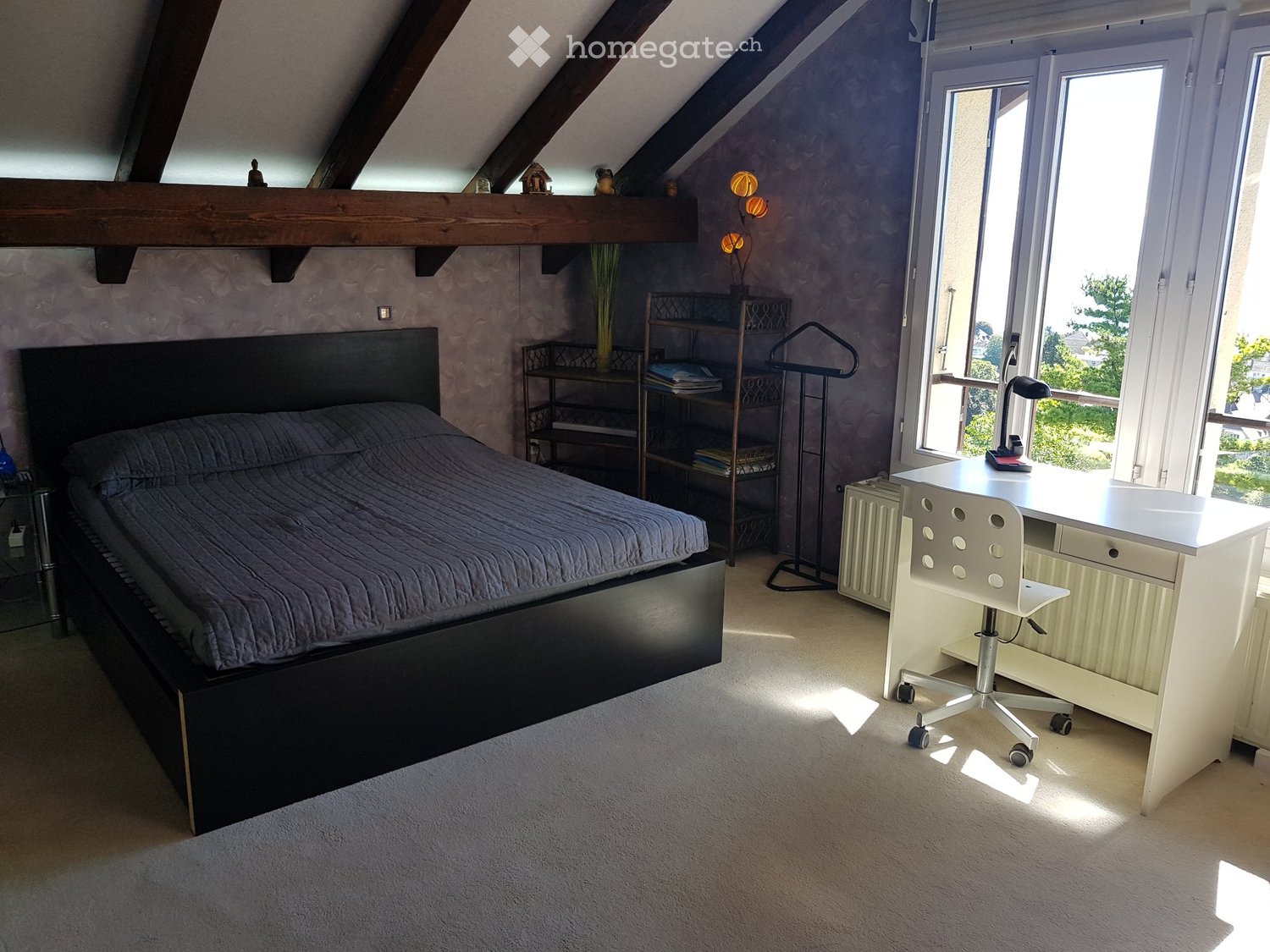 1 room single room