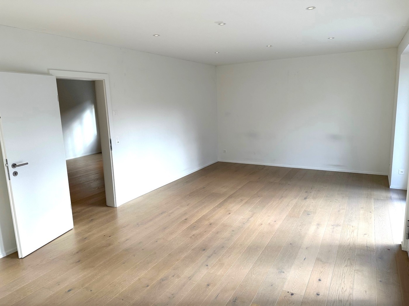 55m² commercial