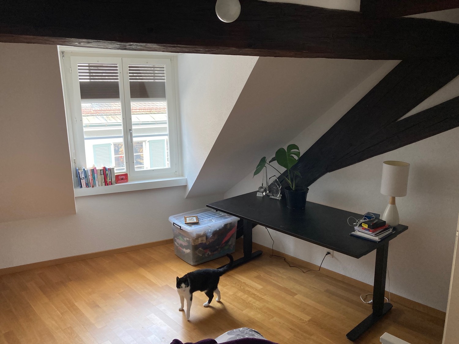 Appartamento di 3 ½ locali