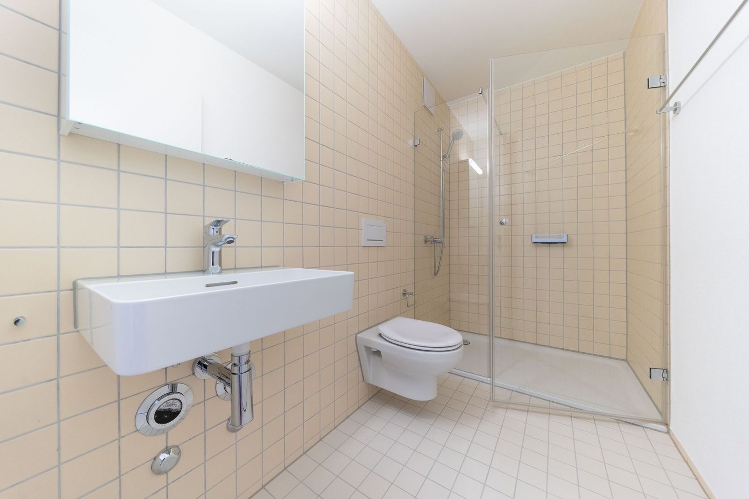 5 ½ rooms apartment