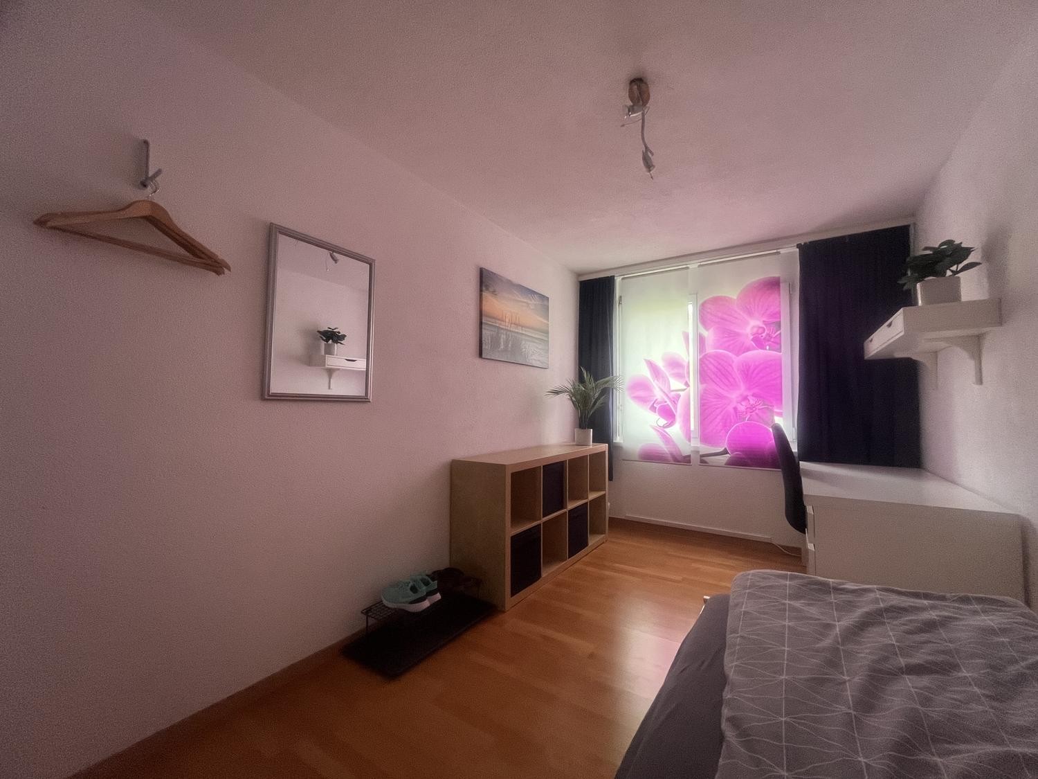 Room in a shared flat