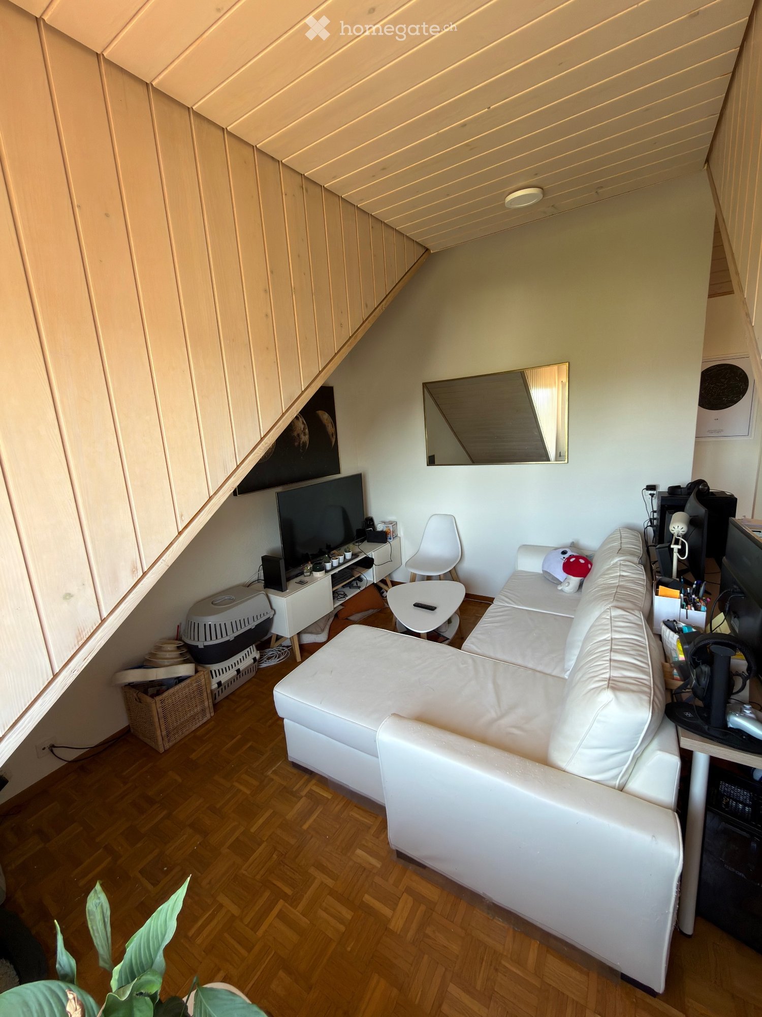 2 ½ Zimmer Wohnung