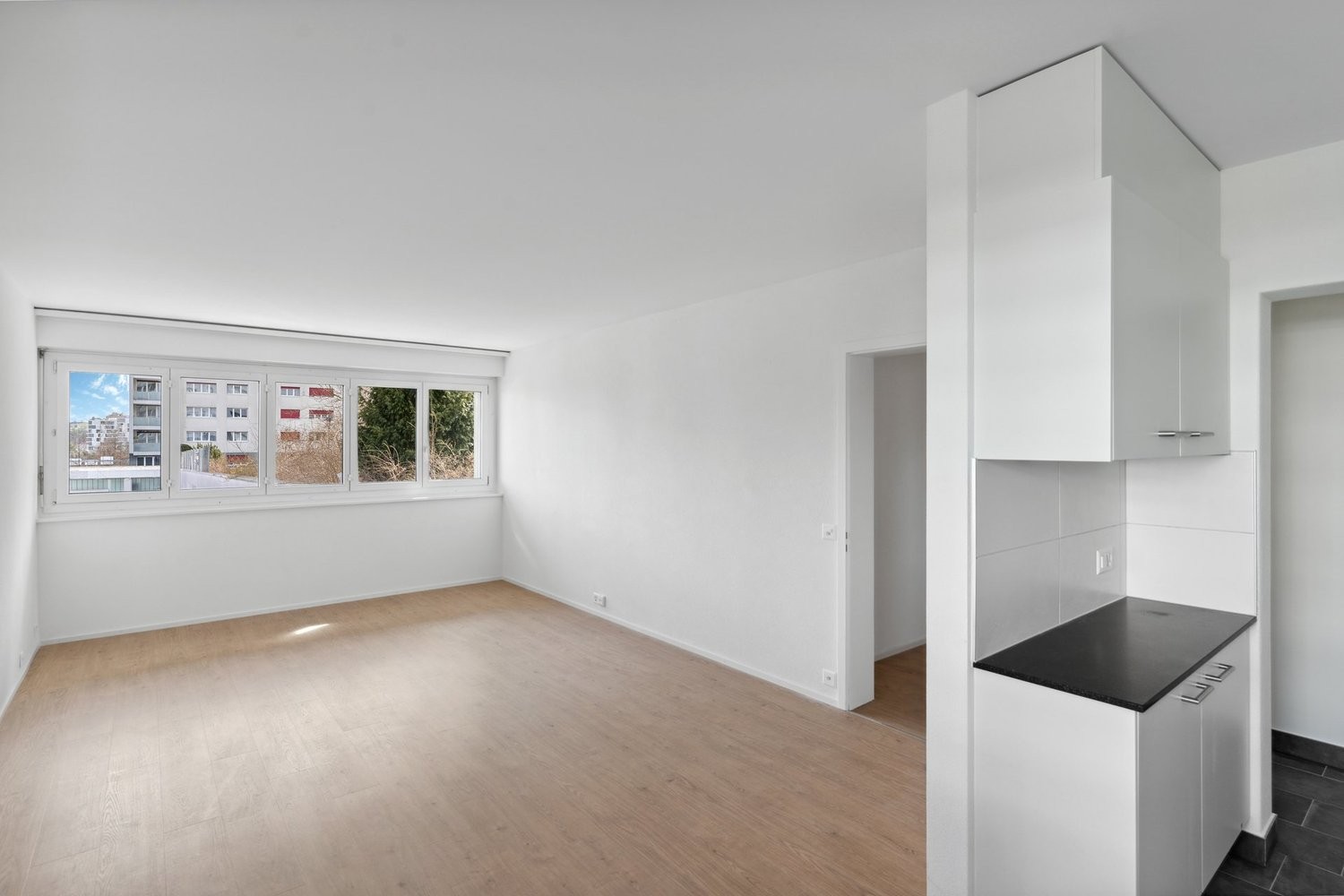 4 ½ rooms apartment